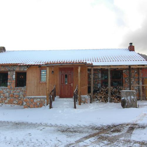 Tavern Petrino Elatohori7