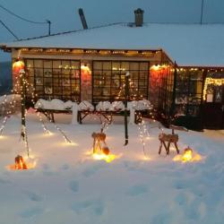 49308616 1455014924629473 8114539148930449408 N