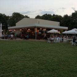 20954033 237852020071623 1355829575822900106 N