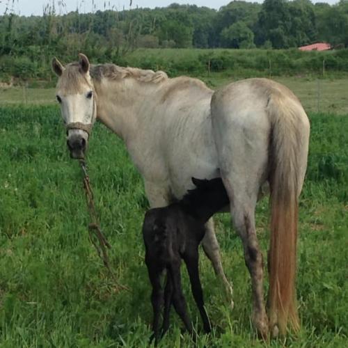 59152951 562561140934041 1453105693866328064 N