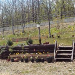 10997771 805210982924948 8181486804136719944 N