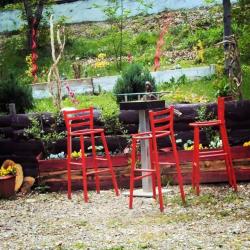 11165314 747547922024588 2033344930157308329 N